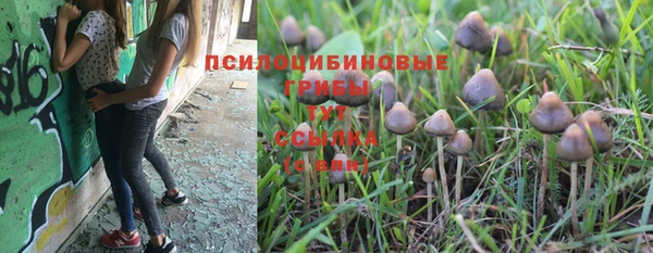 мет Нея