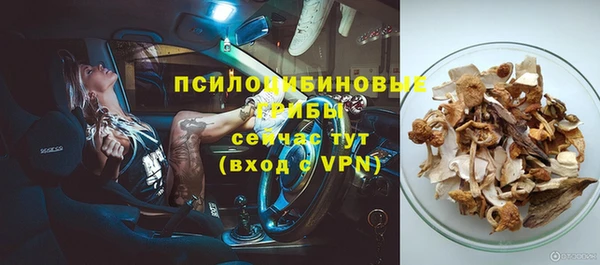ГАЛЛЮЦИНОГЕННЫЕ ГРИБЫ Нефтегорск